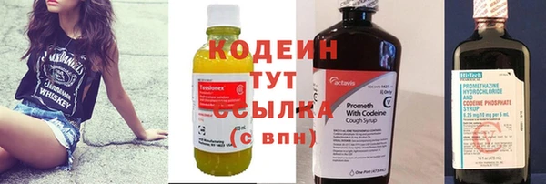 стаф Вязьма