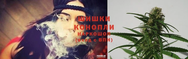 мяу мяу мука Вяземский