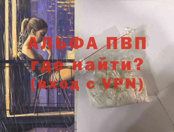 стаф Вязьма