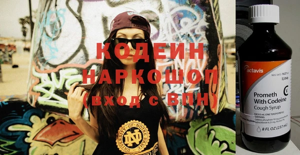 стаф Вязьма