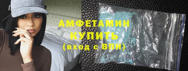 стаф Вязьма