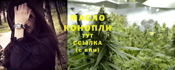 стаф Вязьма