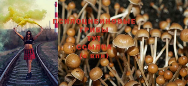 а пвп мука Бикин