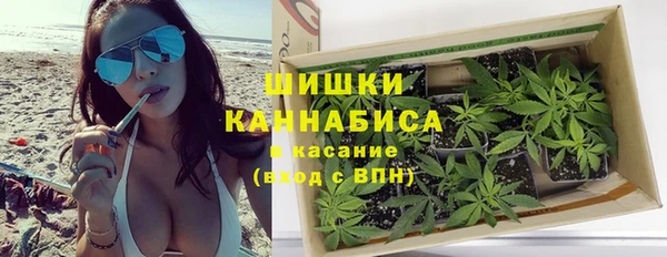 стаф Вязьма