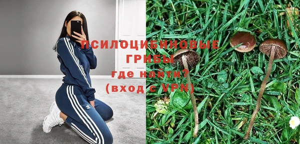 ешки Вязники
