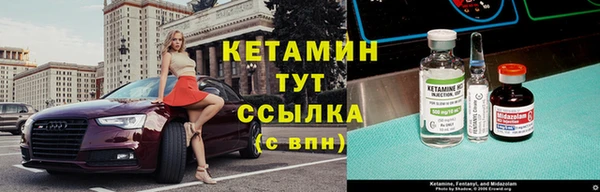 стаф Вязьма